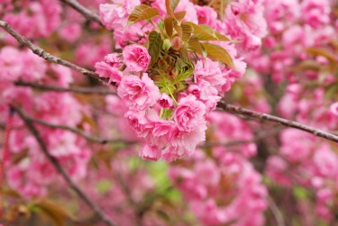 绍兴上虞区1线下个人借款平台一站式服务，轻松解决资金难题