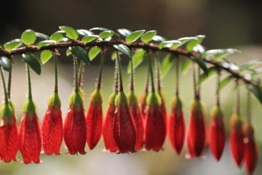 绍兴上虞区1零用贷短借：轻松解决临时资金需求