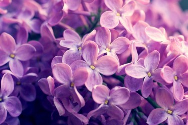 绍兴上虞区1企业急用钱贷款攻略：快速融资解燃眉之急